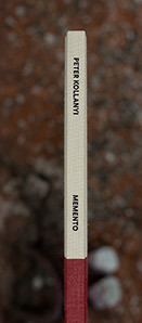 Sm_carousel_10